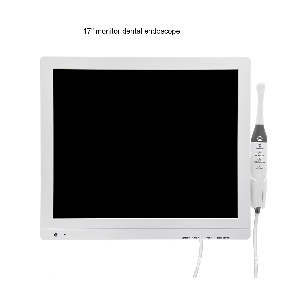 Dental Intraoral Camera with S - Endoscope Inspection Camera ulasan dan harga