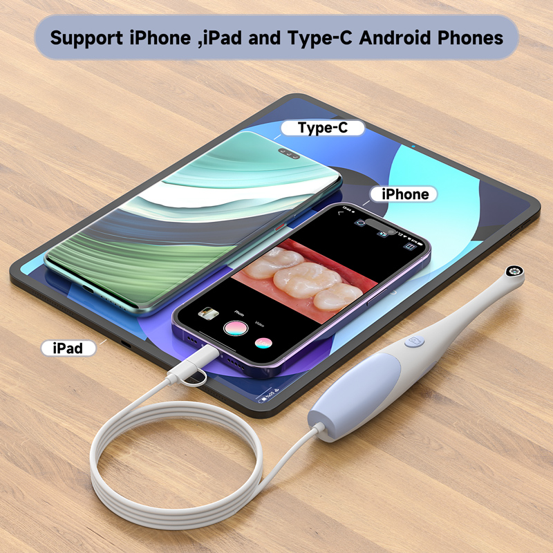 2 in 1 Oral Camera for Type-C/ - Endoscope Inspection Camera ulasan dan harga